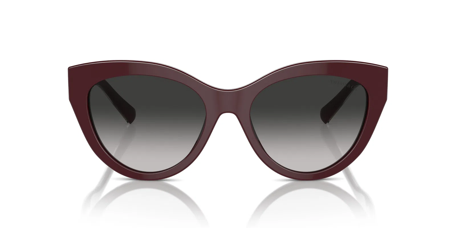 Tiffany 4220 Sunglasses - view 19